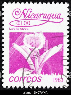 NICARAGUA - VERS 1983: Un timbre imprimé au Nicaragua à partir du numéro «fleurs» montre Laelia spec., vers 1983. Banque D'Images