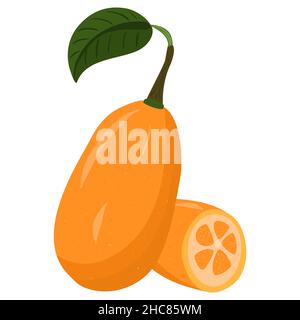 Illustration de dessin animé avec kumquat coloré.Produit du marché agricole.Graphique vectoriel dessiné à la main.Art isolé unique Illustration de Vecteur