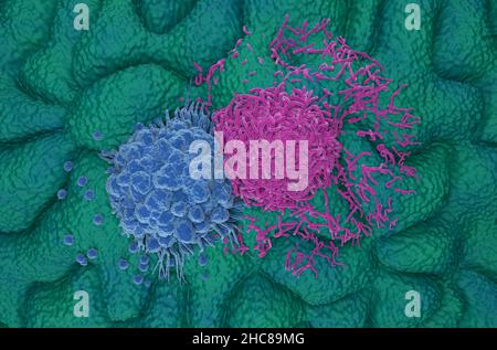 Cellules de cancer de l'estomac gastrique vue de dessus 3D illustration Banque D'Images