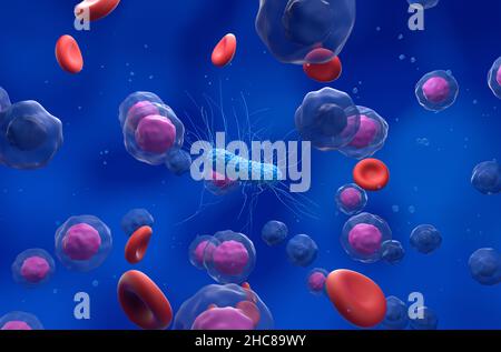 Bactéries générales dans le flux sanguin - vue isométrique 3D illustration Banque D'Images