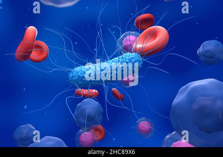 Bactéries générales dans le flux sanguin - vue rapprochée 3D illustration Banque D'Images