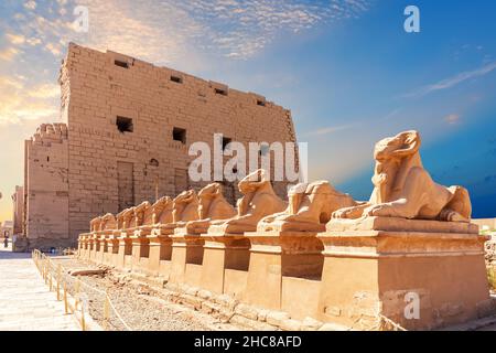 Avenue des Sphinxes à tête de bélier et mur du temple de Karnak, Louxor, Égypte. Banque D'Images