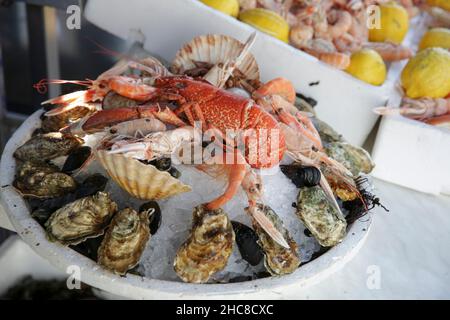 Assiette de fruits de mer - homard, crevettes et huîtres sur glace.Photographié à Nice, France Banque D'Images