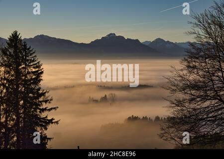 Photo en grand angle d'un brouillard couvrant les forêts avec un fond de montagnes en automne au lever du soleil Banque D'Images