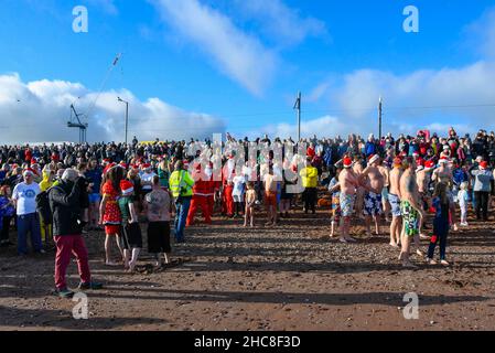 Paignton, Devon, Royaume-Uni.26th décembre 2021.Météo Royaume-Uni.Les nageurs en robe festive de fantaisie prennent à la mer le lendemain de Noël pour le club du lion promenez-vous dans la mer à la plage de Paignton à Devon, lors d'une journée ensoleillée sans saison.De grandes foules bordent le front de mer et la plage.Crédit photo : Graham Hunt/Alamy Live News Banque D'Images