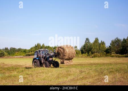 Le tracteur biélorusse travaille dans les champs, récoltant de la paille Banque D'Images