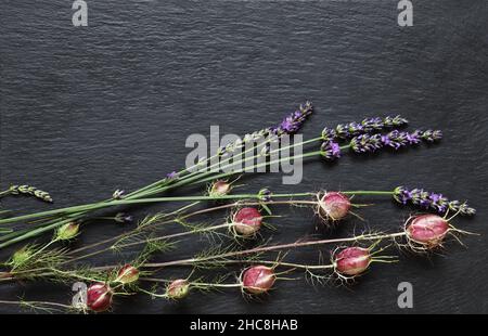 Photographie d'une bande de damas nigella et de la lavande sur fond d'ardoise pour les menus, étiquettes ou panneaux Banque D'Images
