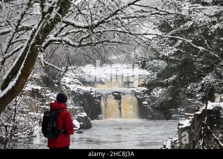 Low Force, Teesdale, comté de Durham, Royaume-Uni.26th décembre 2021.Météo Royaume-Uni.Un marcheur bénéficie d'une belle scène d'hiver à la chute d'eau de Low Force lors d'une promenade le lendemain de Noël à Upper Teesdale, comté de Durham, Royaume-Uni crédit: David Forster/Alamy Live News Banque D'Images