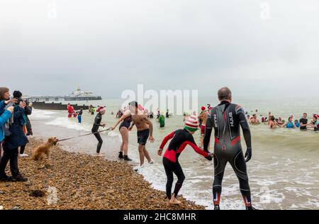 Eastbourne, East Sussex, Royaume-Uni.26th novembre 2021.Les braves âmes prennent part à un plongeon de lendemain de Noël dans la mer à Eastbourne pour recueillir de l'argent pour le RNLI.Eastbourne RNLI crews sont deux des stations les plus achalandées du Royaume-Uni Credit: Newpics UK South/Alay Live News Banque D'Images