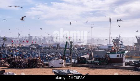 Mouettes planant sur des bateaux de pêche ancrés à la marina contre un ciel nuageux Banque D'Images