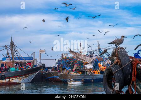 Mouettes planant sur des bateaux de pêche ancrés à la marina contre un ciel nuageux Banque D'Images