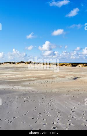 Raabjerg Mile, dune côtière en migration entre Skagen et Frederikshavn; Jutland du Nord, Danemark Banque D'Images