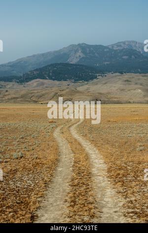 Old Two Track Road tourné vers Trail près de Mammoth Hot Springs dans le parc national de Yellowstone Banque D'Images