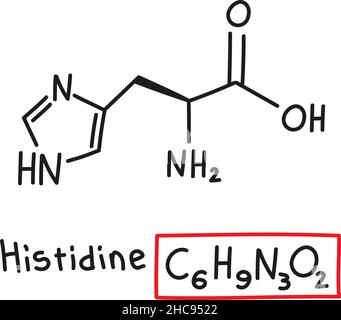 Formule chimique moléculaire tirée à la main de l'histidine d'acide aminé dans le style de l'oodle isolé. Illustration de Vecteur