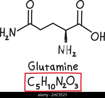 Formule moléculaire chimique dessinée à la main de glutamine d'acide aminé dans le style Doodle isolé. Illustration de Vecteur