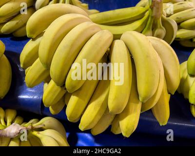 Bananes biologiques alignées sur le comptoir dans un marché turc traditionnel Banque D'Images