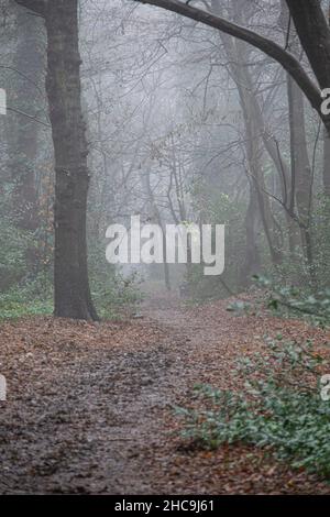 Brouillard à Londres le lendemain de Noël 2021 Banque D'Images