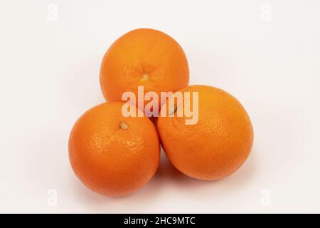 Trois oranges isolées sur fond blanc. Banque D'Images