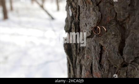 Anneaux de mariage placés sur une écorce d'arbre.Couple anneaux de mariage sur la vieille texture du bois, l'écorce de l'arbre.Anneaux de mariage sur l'écorce d'un arbre.Bijoux au wedd Banque D'Images