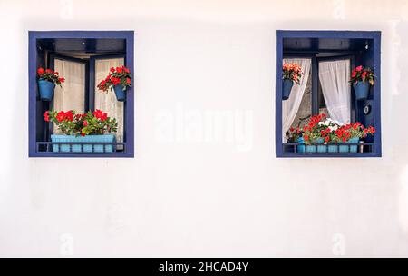 deux fenêtres bleues décorées de pots de fleurs avec des fleurs rouges sur une maison avec des murs blancs, typique village méditerranéen, espace de copie horizontal Banque D'Images