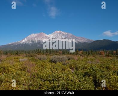 Le Mont Shasta de Californie, dans des contreforts forestiers d'automne, et une vallée avec des arbres et arbustes à feuilles persistantes au premier plan. Banque D'Images