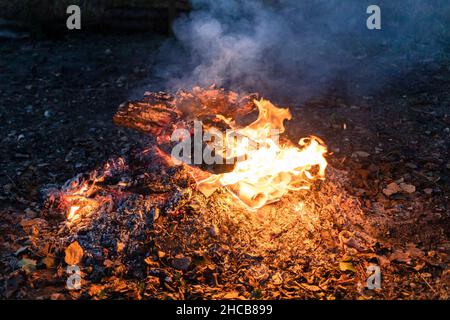 bois de feu de bois sur pile de cinder dans le jardin de campagne au crépuscule Banque D'Images