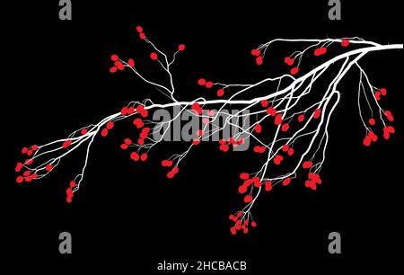 Dessin d'une branche d'aubépine Illustration de Vecteur
