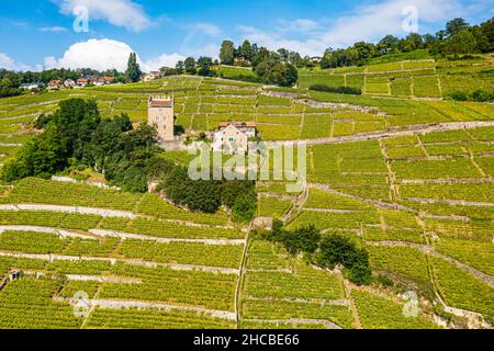 Suisse, canton de Vaud, vue aérienne des vignobles en terrasse de Lavaux en été Banque D'Images