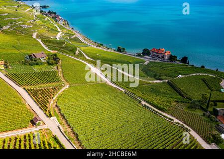Suisse, canton de Vaud, vue aérienne des vignobles en terrasse de Lavaux en été Banque D'Images