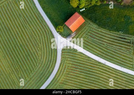 Vue de drone sur un champ vert fraîchement fauchée Banque D'Images