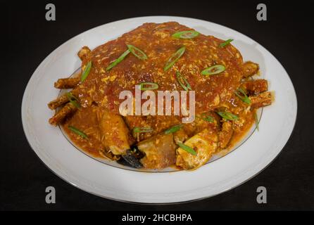 Délicieux crabe au piment fait maison, cuisiné à la perfection et servi dans une assiette blanche pour le dîner.Cuisine asiatique.Préparation de crabe au piment de Singapour. Banque D'Images