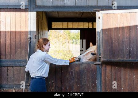 Jeune femme touchant cheval par l'écurie hollandaise porte Banque D'Images