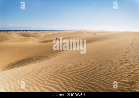 Magnifique paysage de dunes dans la réserve naturelle de Maspalomas, Grande Canarie, îles Canaries, Espagne Banque D'Images