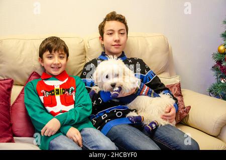 Les frères s'assoient sur un ensemble le jour de Noël et câliner leur petit cavapoo blanc.Ils portent des pulls de Noël. Banque D'Images