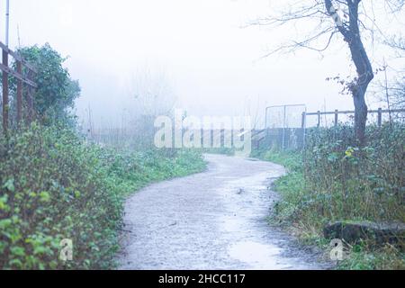 Brouillard à Londres le lendemain de Noël 2021 Banque D'Images