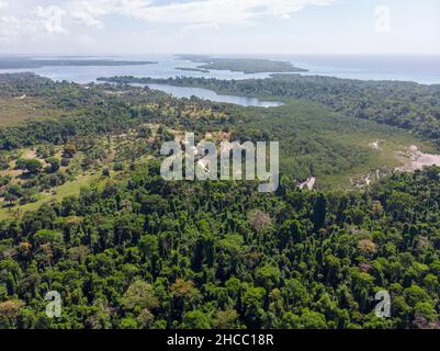 Belle vue aérienne de drone de la jungle des arbres au sommet de la forêt tropicale primaire de l'Amazone l'été ensoleillé jour.Concept de conservation, écologie, biodiversité, global Banque D'Images