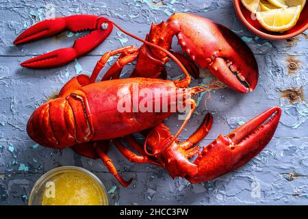 Un délicieux homard de l'Atlantique Nord sur une table de pique-nique rustique. Banque D'Images