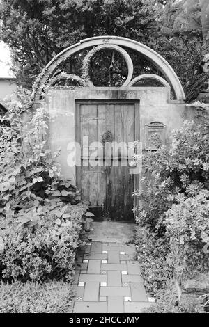 Échelle de gris d'une ancienne porte en bois dans le jardin avec des fleurs et des plantes Banque D'Images