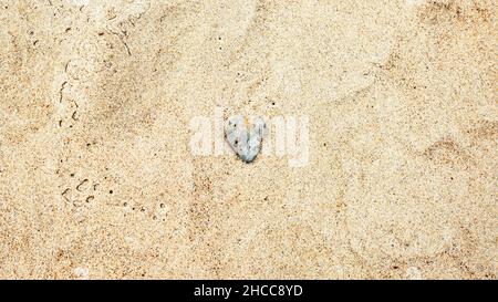 Roche de mer grise en forme de cœur sur une plage de sable Banque D'Images