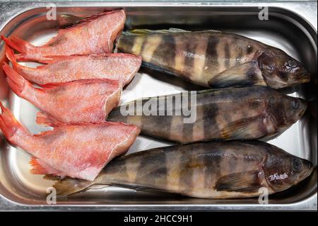 Poissons verts frais crus et poissons de bar de mer dans le supermarché Banque D'Images
