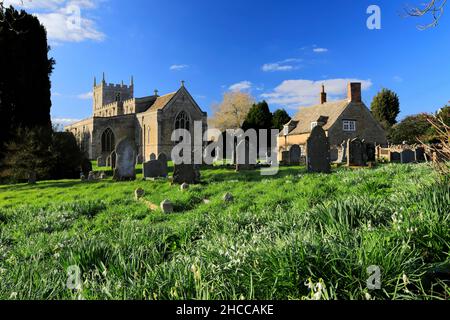 Snowdrops, église St Marys, village de Woodnewton, Northamptonshire, Angleterre,ROYAUME-UNI Banque D'Images