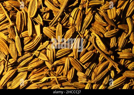 Photographie du motif de graines de fenouil pour l'arrière-plan alimentaire Banque D'Images