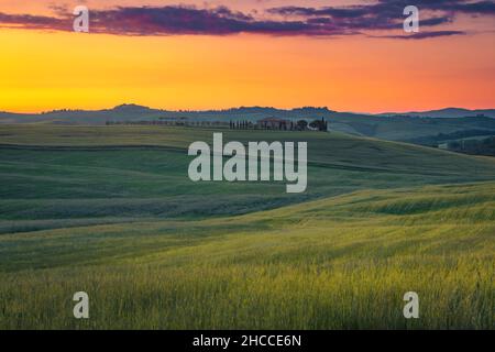 Picturesque, peaceful countryside scenery with grain fields on the hills at sunset, Tuscany, Italy, Europe Banque D'Images