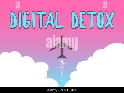 Affiche numérique Detox.Internet concept sans appareils électroniques déconnecter pour reconnecter Unplugged Illustration du lancement rapide d'un avion Banque D'Images