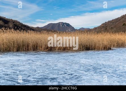 Paysage de tourbière Ganna en hiver.Parc régional Campo Dei Fiori, Valganna, province de Varèse, Lombardie, Italie Banque D'Images