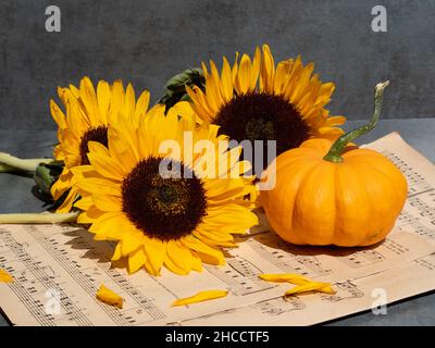 Gros plan de notes musicales, bouquet de tournesols et citrouille Banque D'Images