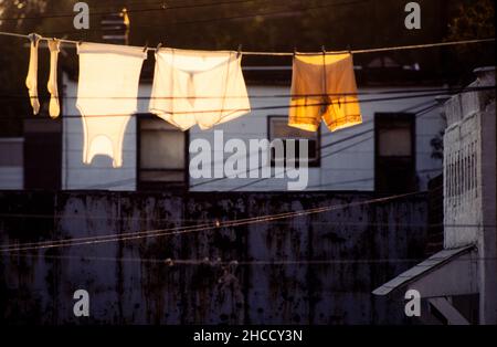 Un vieux sous-linge séchant sur une ligne de vêtements à l'extérieur de Brooklyn NYC Banque D'Images