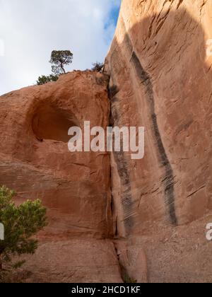 Grotte érodée en grès rouge à l'arrière de Window Rock en Arizona avec des taches noires sur la face de la falaise. Banque D'Images