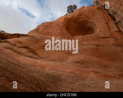 Grotte érodée en grès rouge à l'arrière de Window Rock en Arizona avec des taches noires sur la face de la falaise. Banque D'Images