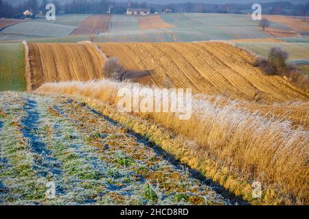 champs agricoles cultivés au coucher du soleil d'automne.Mosaïque de campagne colorée Banque D'Images